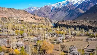 India Has Its Own Cherry Blossom Season - And It Blooms Secretly In Ladakh