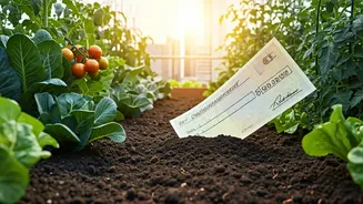 How To Claim Your Government Cheque For Terrace Veggie Patches