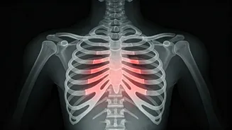 Rib Cage Injuries: Symptoms, Types & Recovery