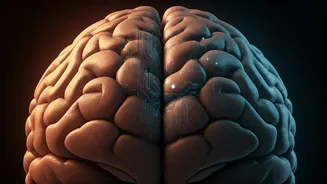 Gen Z Should Not Outsource Personality To AI