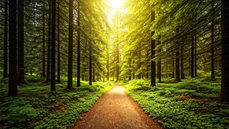 Nature Walks Improve Weekend Wellness