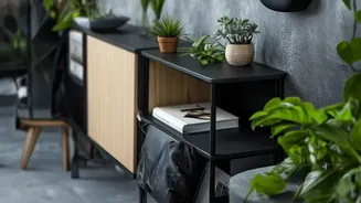 Planning Decorating Rooms With Indoor Plants? Start With Using Vertical Space For Houseplants