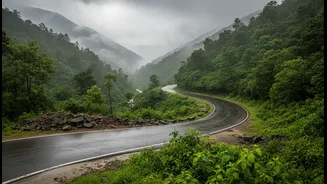 How to navigate landslide zones while traveling to Uttarakhand's Valley of Flowers this July