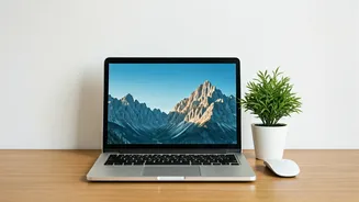 Boost Your Mood: A 35,000-User Study Shows a Simple Social Media Break Enhances Mental Wellbeing