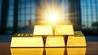 India's Rising Global Role: A Business Perspective