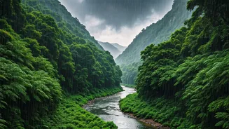 Budget Travellers Are Eyeing India’s Monsoon Mood Boards