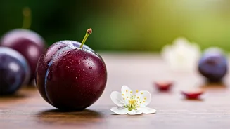 This Sweet Plum Routine Beats Expensive Face Serums