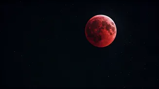 Related Stories banner