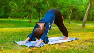 Morning Sun Salutations Vs Evening Restorative Poses Choosing What Fits Your Daily Routine