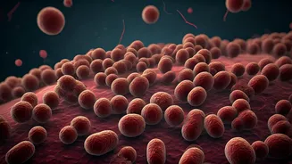 Craving Home: Why Indian Food Pulls Us Back, Even Miles Away