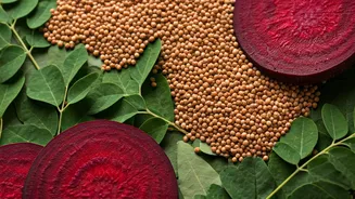 Moringa, Beetroot & Ragi: A Powerhouse Trio for Enhanced Nutrition