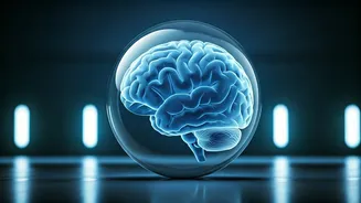 Silent Strokes Pose a Risk to Brain Health