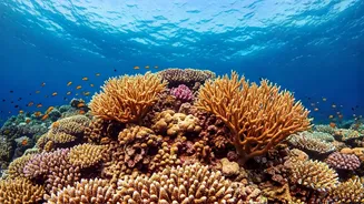 Find Paradise: Top Travel Destinations Await