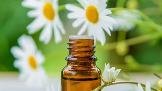 Pregnancy, Allergies Or Chronic Conditions Can Change Essential-Oil Suitability