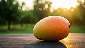Sadabahar Mango: Anand Mahindra Champions Farmer's Year-Round Fruit Innovation