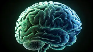 Neuroscientist's 3 Brain-Boosting Exercises