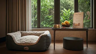 Hotels Have Entered Their Pet-Welcome Era