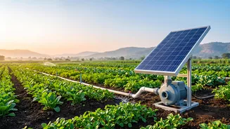 Why Solar Micro-Pumps Are Crucial For Smallholder Farmers In Rural Maharashtra