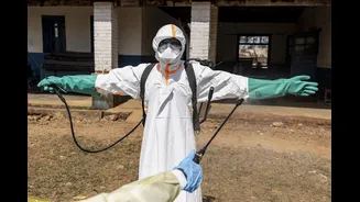 Apesar de acender alerta, ebola e hantavírus não têm poder pandêmico