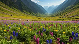 Uttarakhand Valley Of Flowers Prepares For Epic Seasonal Explosion