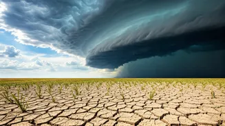 FMCG El Niño Warnings Need Budget Attention