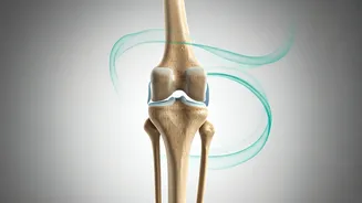 Focus On Joint Mobility Over Heavy Lifting Fitness Channels Say