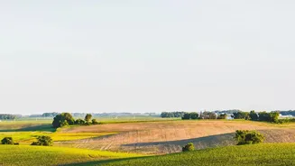 How Earth Observation Satellites Track Crops, Weather And Land
