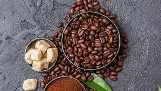 Tier 2 city remote workers spend off season workations amidst Coorg coffee greenery