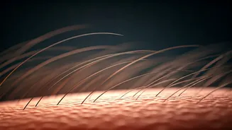 Unraveling Bald Patches: What Your Hair Loss is Signaling About Your Health