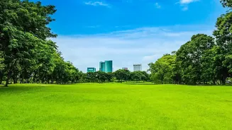 Why Short Drive Green Retreats Around Tier 2 Cities Draw Huge Weekend Crowds