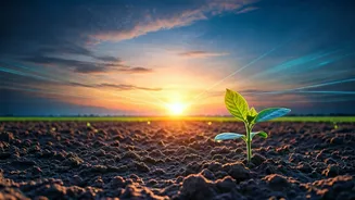 AI Revolutionizes Indian Weather Forecasts for Farmers: 1km Precision Rainfall Prediction