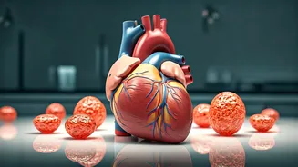 Cholesterol Confusion: Debunking Myths Explained by a Cardiologist