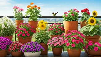 10 Balcony Blooms: Invite Birds & Beauty