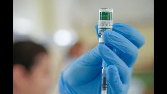 Veja quais grupos não podem tomar a vacina contra dengue do Butantan