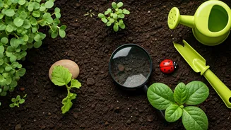 Related Stories banner