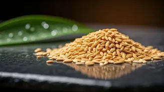Rice Bran Brings Old-School Beauty Wisdom Back