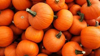 Why you should know about fluted pumpkin