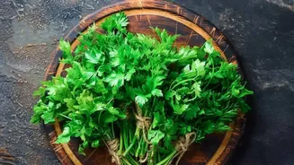 A Green Addition To Savoury Snacks: Parsley Recipe Ideas In Focus