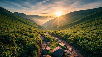 Traverse Dazzling Misty Mountain Trails Western Ghats On Budget Holiday