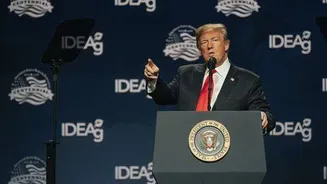 President Trump expected White House meeting on digital asset rules