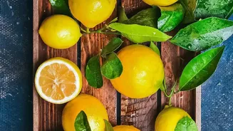 The Land Of Lemons: Inside Indi's Celebrated Citrus Country