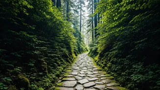 Jibhi Village Walks Beat Tourist Crowd Madness