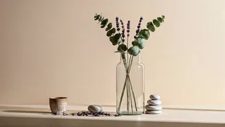 Beat Musty Monsoon Odours With These Natural Home Hacks