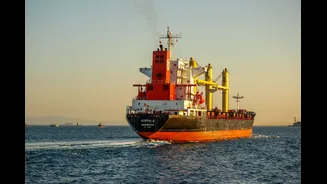 India Bans Deployment of Seafarers in Strait of Hormuz Amid Security Concerns