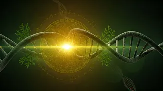 Ayurveda's Global Leap: Scientific Validation Fuels Ancient Indian Healing System's Worldwide Reach