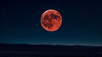 Related Stories banner