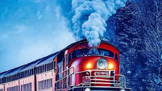 The Role of More Time for Backup Travel Plans in Railways' Earlier Waitlist Information Plan