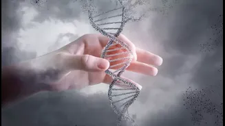 The Science Behind Aging: Why Do We Get Older?