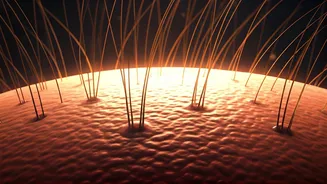 Unlock Thicker Hair: The Power of Scalp Massage for Natural Growth and Health