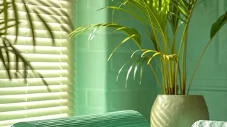 Affordable Home Yoga Space Creating A Peaceful Practice Area With Basic Household Props